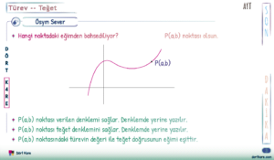 Ösym tarzı sorular